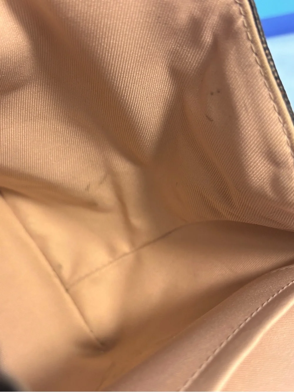 Louis Vuitton Clapton Ebene Rose